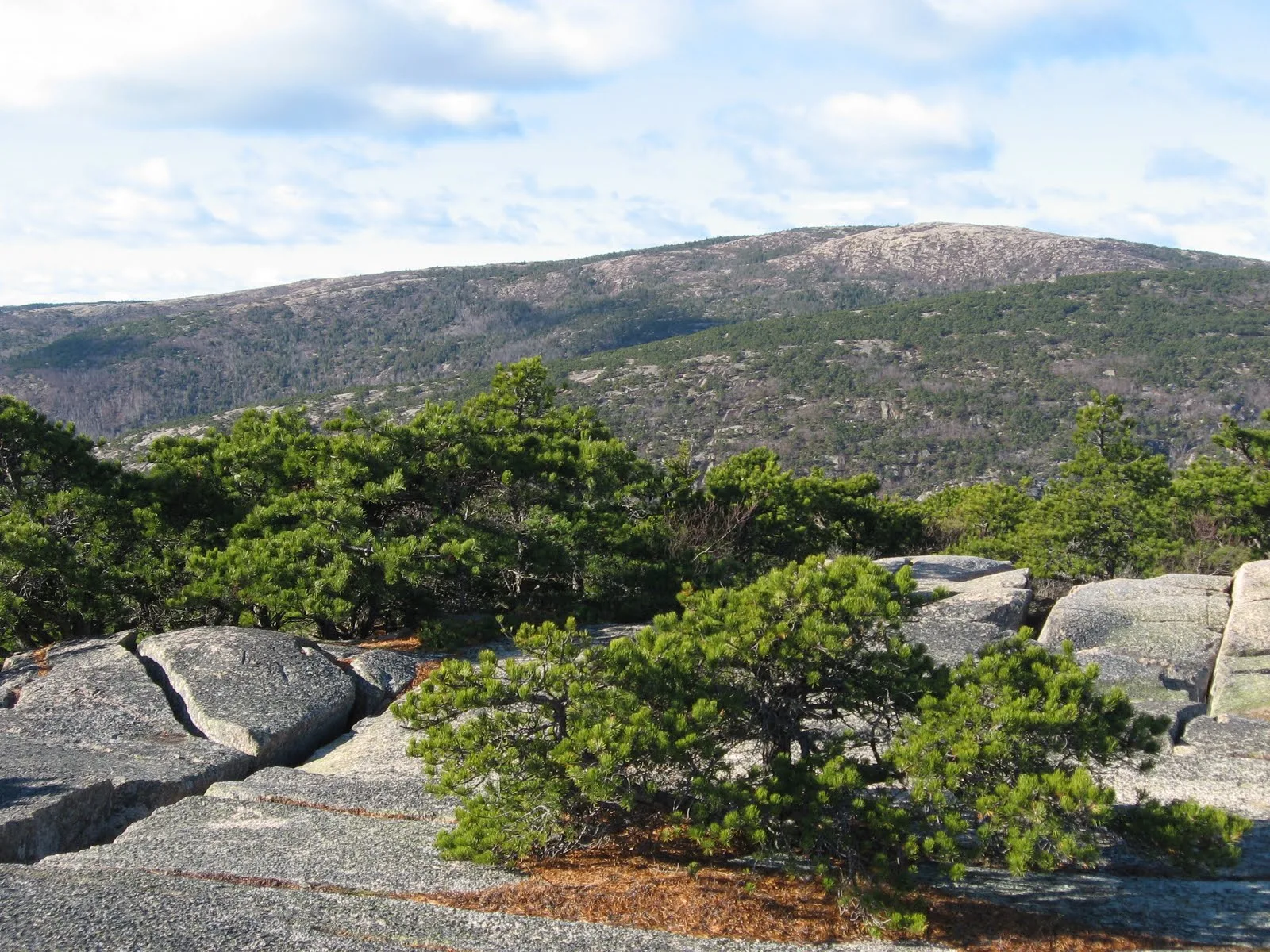 Cadillac Mountain in Acadia