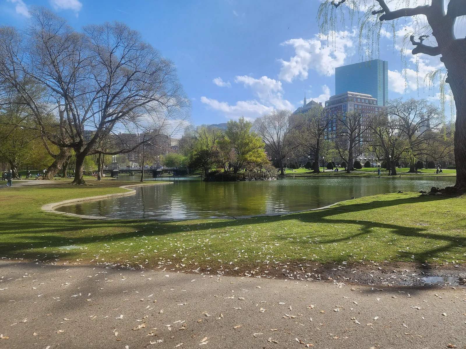Trees and a pond with Boston’s skyline beyond