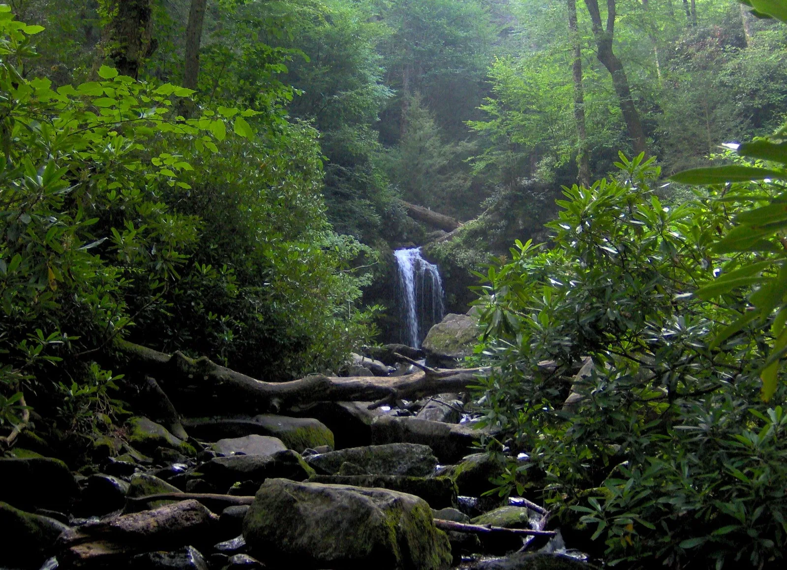 Roaring Fork in the Great Smoky Mountains
