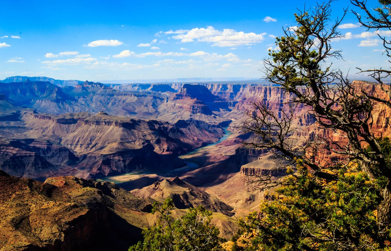 The Grand Canyon in northern Arizona