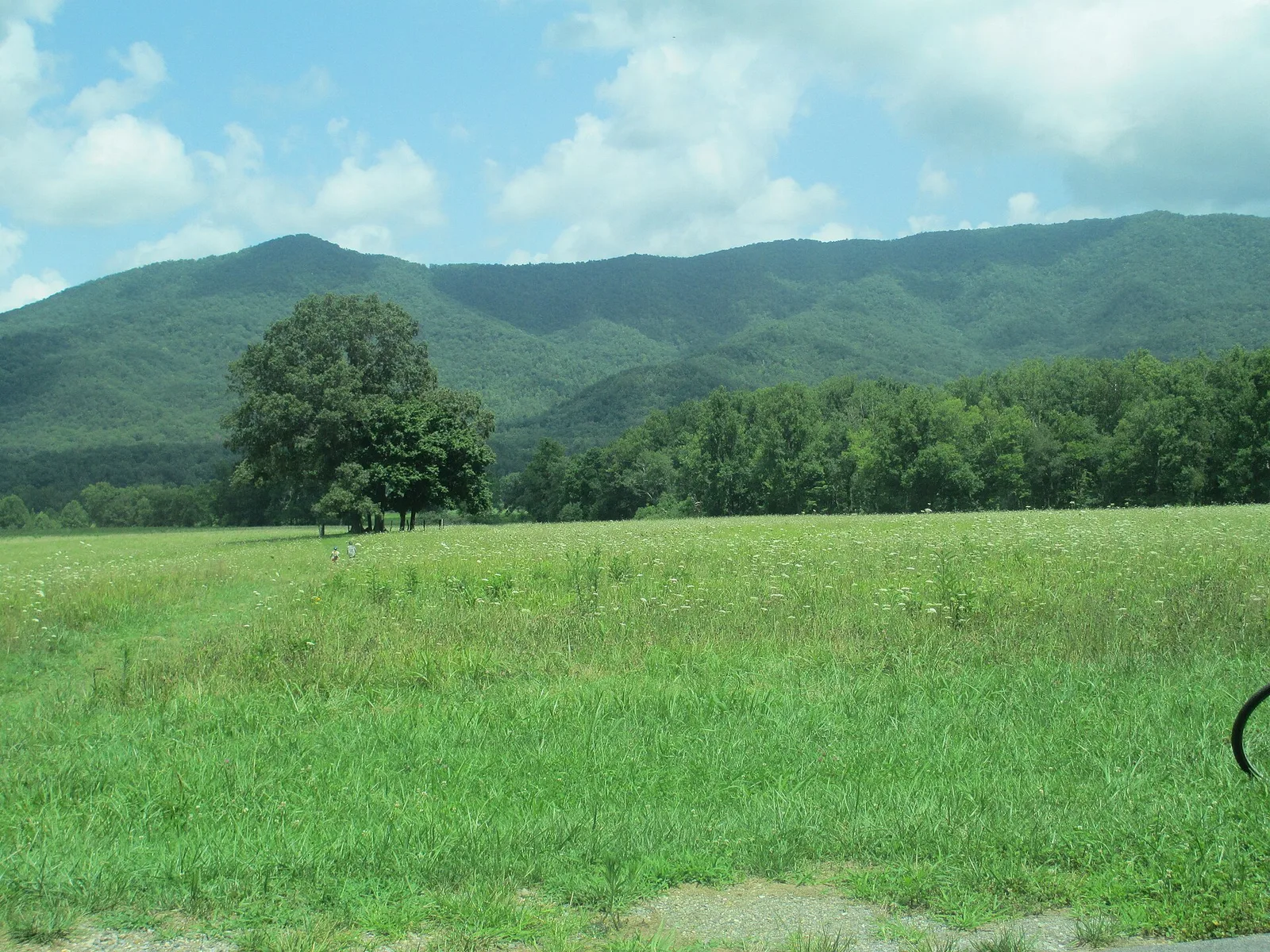 Cades Cove in the Great Smoky Mountains
