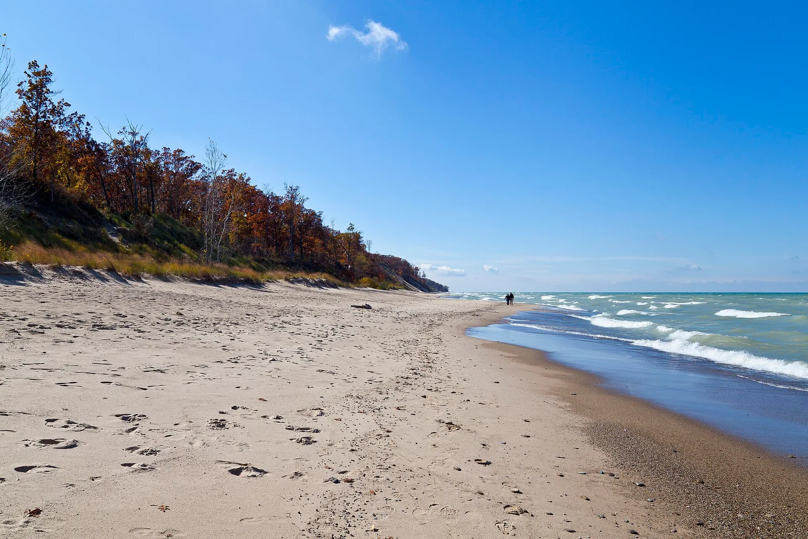 Lake Michigan shore in Indiana Dunes National Park