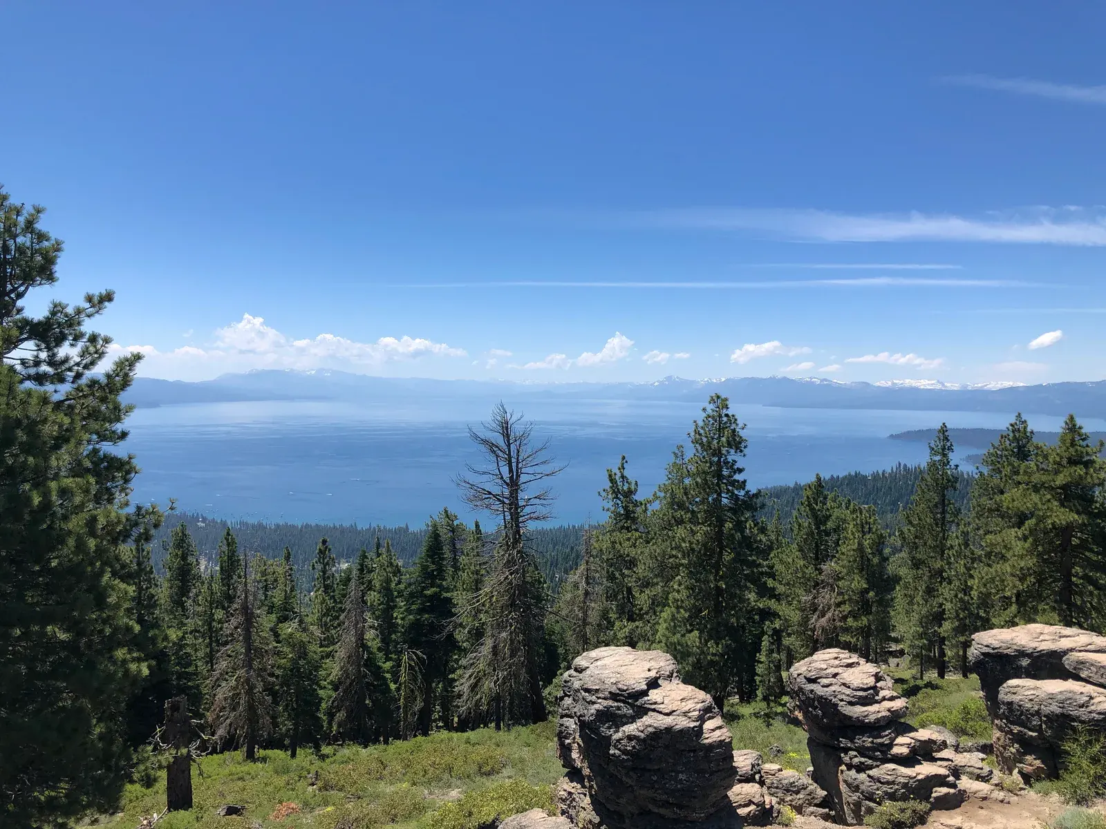 Lake Tahoe and forested slopes in summer