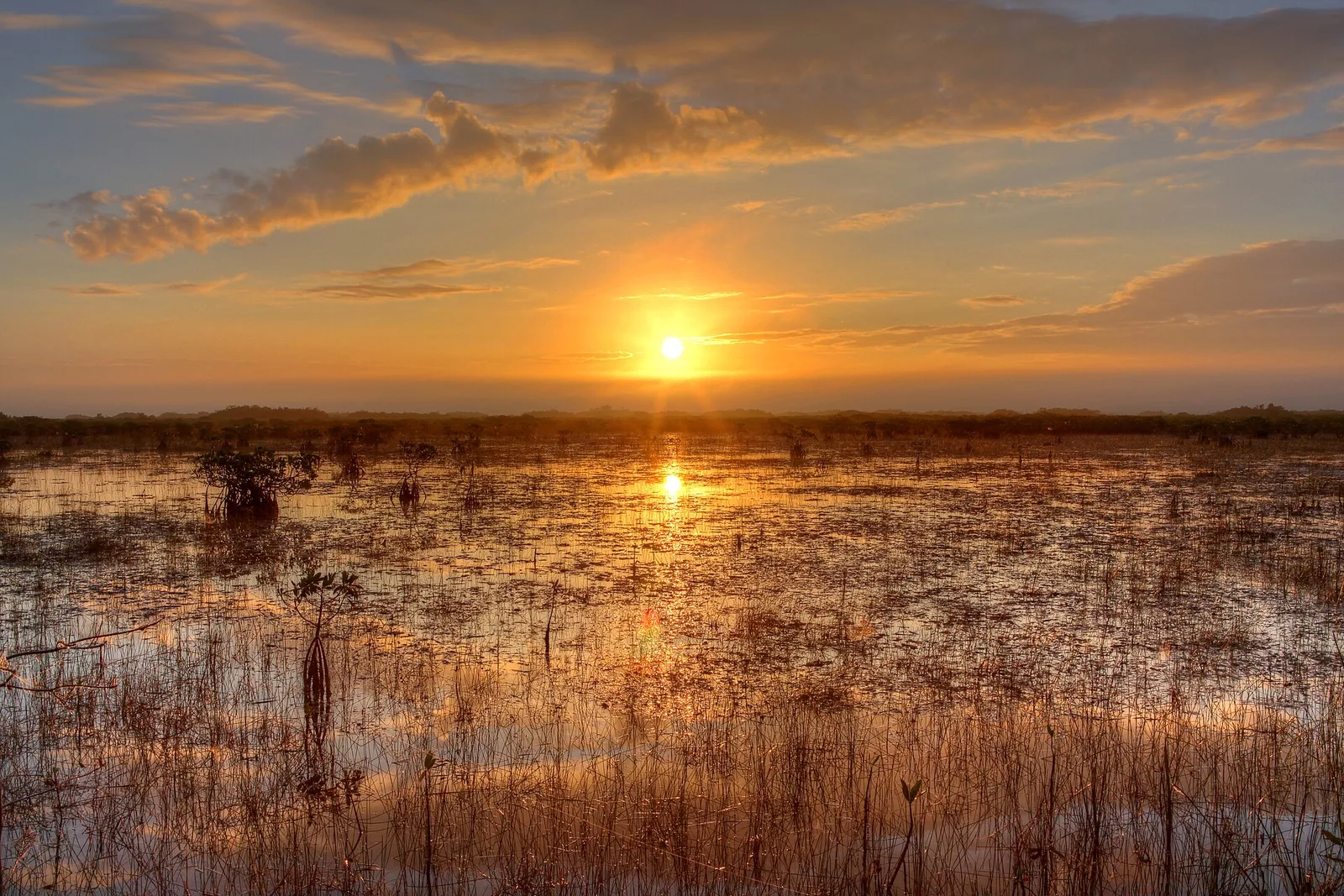 Everglades National Park in South Florida