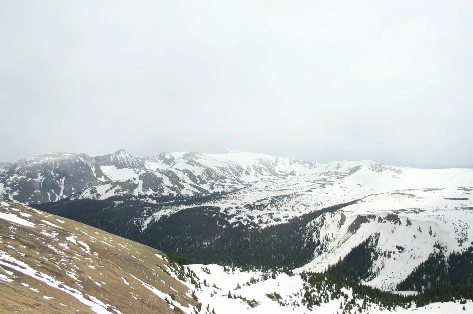 Alpine mountain landscape along the Trail Ridge Road outing; access depends on current conditions