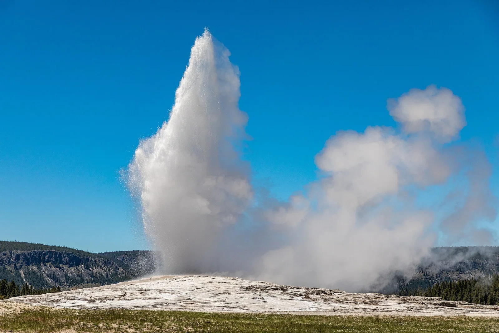Old Faithful in Yellowstone
