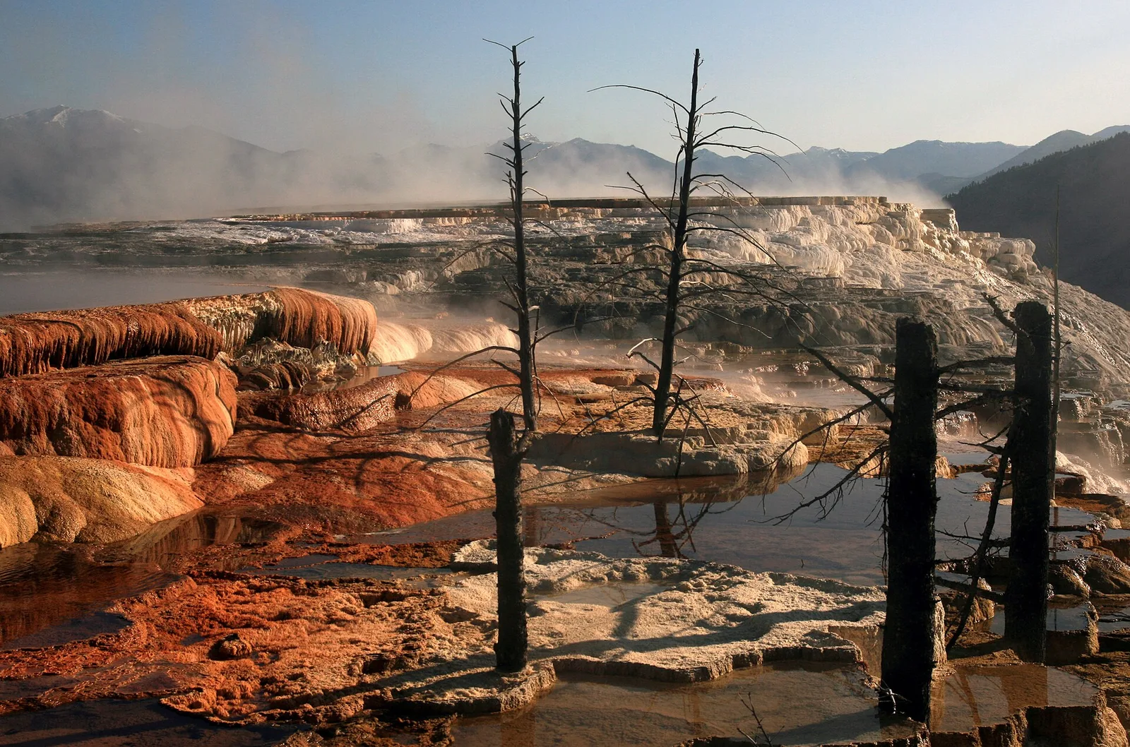 Mammoth Hot Springs in Yellowstone