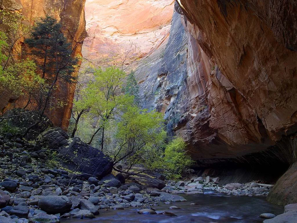 The Narrows in Zion National Park